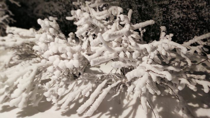 Neuschnee in Schulenberg